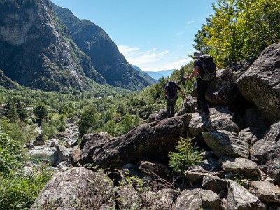 DCLDLUX8-20250904-1001510