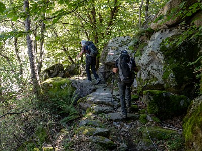 DCLDLUX8-20250904-1001515