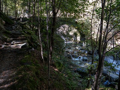 DCLDLUX8-20250904-1001517