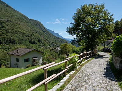 DCLDLUX8-20250904-1001518