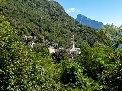 DCLDLUX8-20250904-1001522