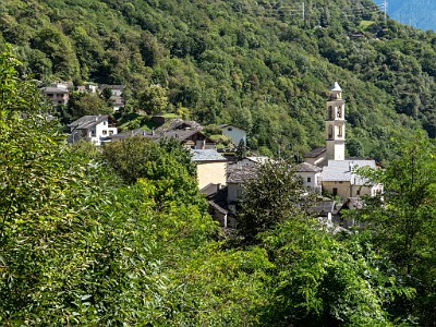 DCLDLUX8-20250904-1001523