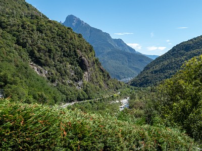 DCLDLUX8-20250904-1001525