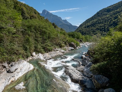 DCLDLUX8-20250904-1001526