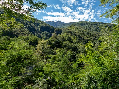 DCLDLUX8-20250904-1001531