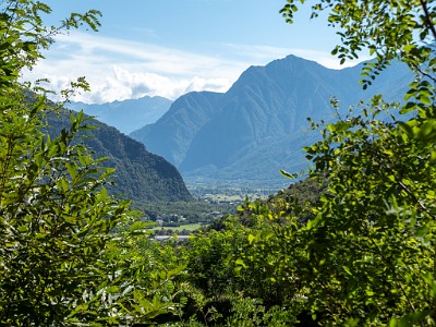 DCLDLUX8-20250904-1001533