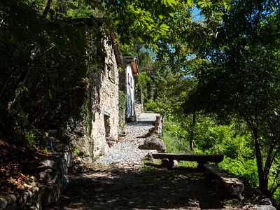 DCLDLUX8-20250904-1001534