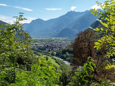 DCLDLUX8-20250904-1001537