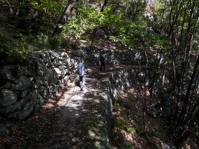 DCLDLUX8-20250904-1001538