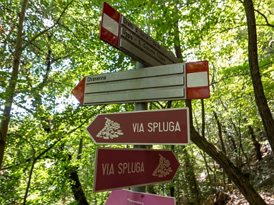 DCLDLUX8-20250904-1001543