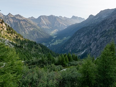 DCCG1X-20260811-1002974