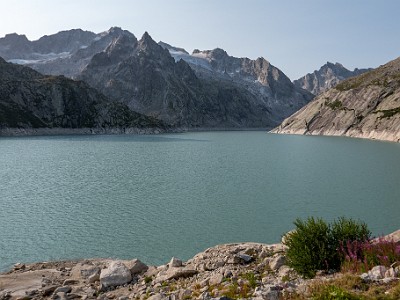 DCCG1X-20260811-1002980