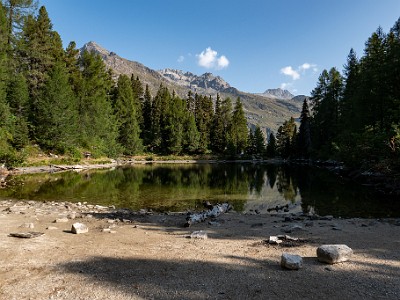 DCCG1X-20260812-1003028