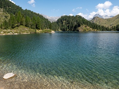 DCCG1X-20260812-1003057
