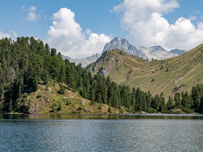 DCCG1X-20260812-1003065