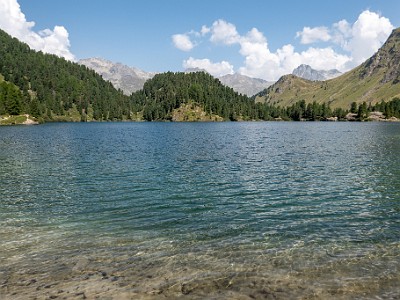 DCCG1X-20260812-1003066