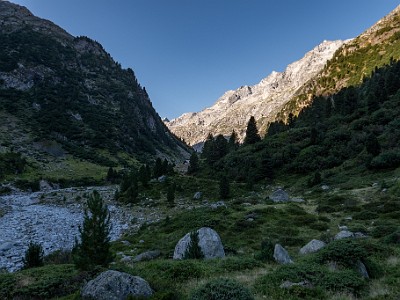 DCCG1X-20260813-1003095
