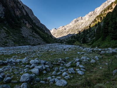 DCCG1X-20260813-1003096