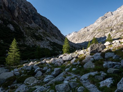 DCCG1X-20260813-1003103