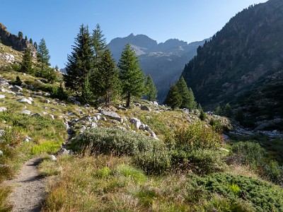DCCG1X-20260813-1003112