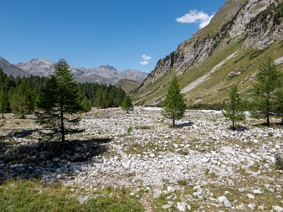 DCCG1X-20260813-1003184