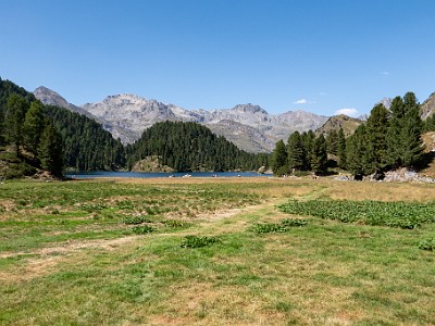 DCCG1X-20260813-1003188