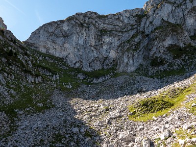 DCLDLUX8-20260901-1003505
