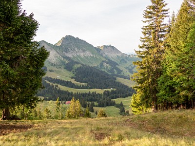 DCCG1X-20260713-2512