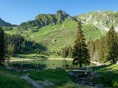 DCCG1X-20260618-2365