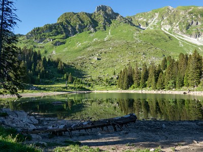 DCCG1X-20260618-2367