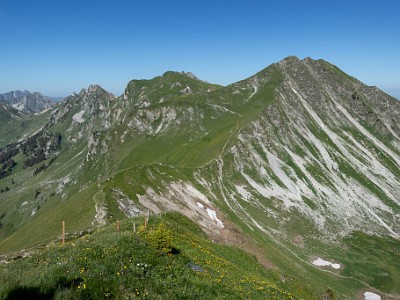 DCCG1X-20260618-2382