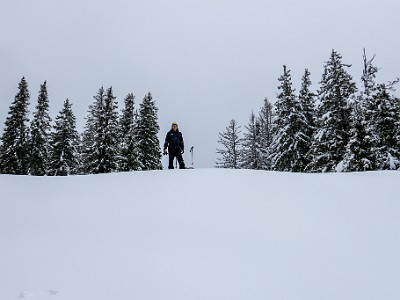 DCLDLUX8-20260221-1002559