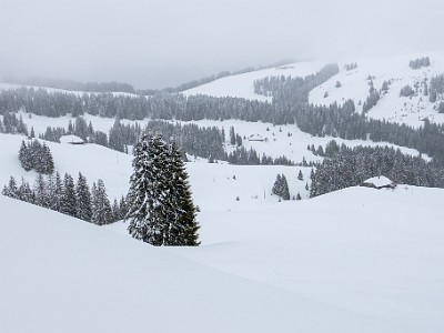 DCLDLUX8-20260221-1002561