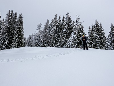 DCLDLUX8-20260221-1002563