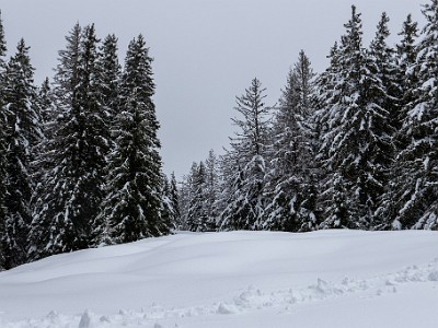 DCLDLUX8-20260221-1002564