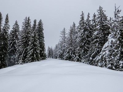 DCLDLUX8-20260221-1002565