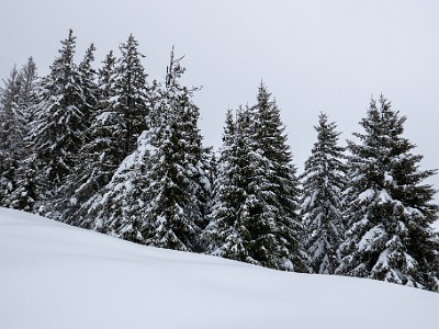 DCLDLUX8-20260221-1002566