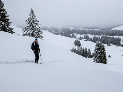 DCLDLUX8-20260221-1002567