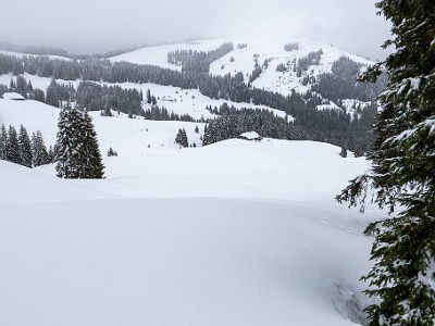 DCLDLUX8-20260221-1002568