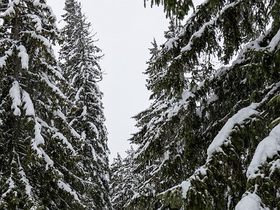 DCLDLUX8-20260221-1002569