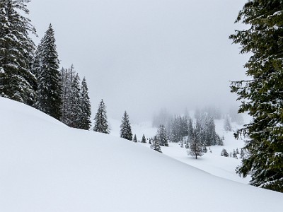 Grattavache (2026-02-21)