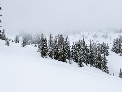 DCLDLUX8-20260221-1002572