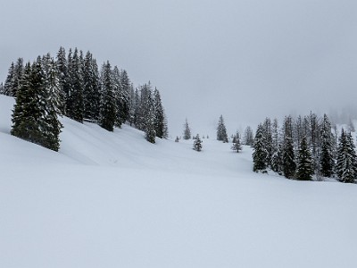 DCLDLUX8-20260221-1002573