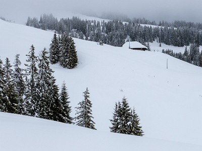 DCLDLUX8-20260221-1002575