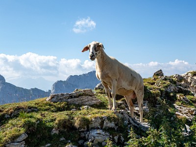 Hochmatt (2026-07-20)