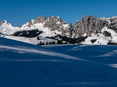 DCLDLUX8-20260226-1002577