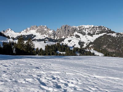 DCLDLUX8-20260226-1002580