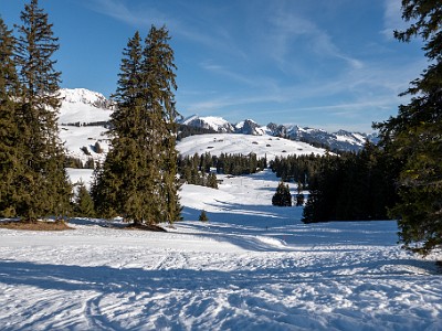 DCLDLUX8-20260226-1002581