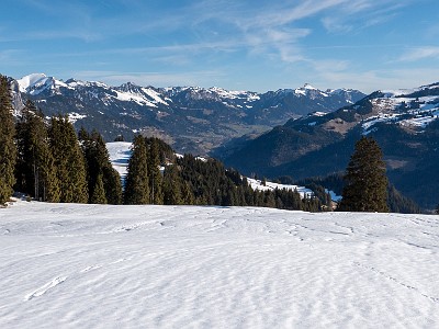 DCLDLUX8-20260226-1002582