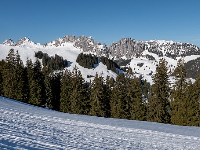 DCLDLUX8-20260226-1002583